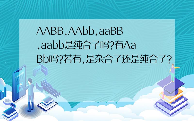 AABB,AAbb,aaBB,aabb是纯合子吗?有AaBb吗?若有,是杂合子还是纯合子?