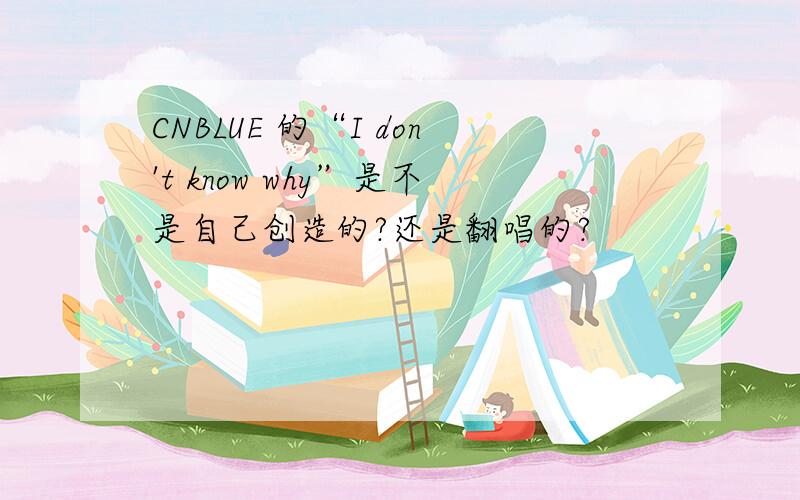 CNBLUE 的“I don't know why”是不是自己创造的?还是翻唱的?