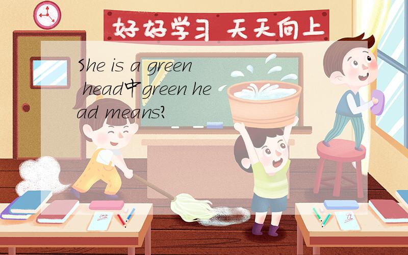 She is a green head中green head means?