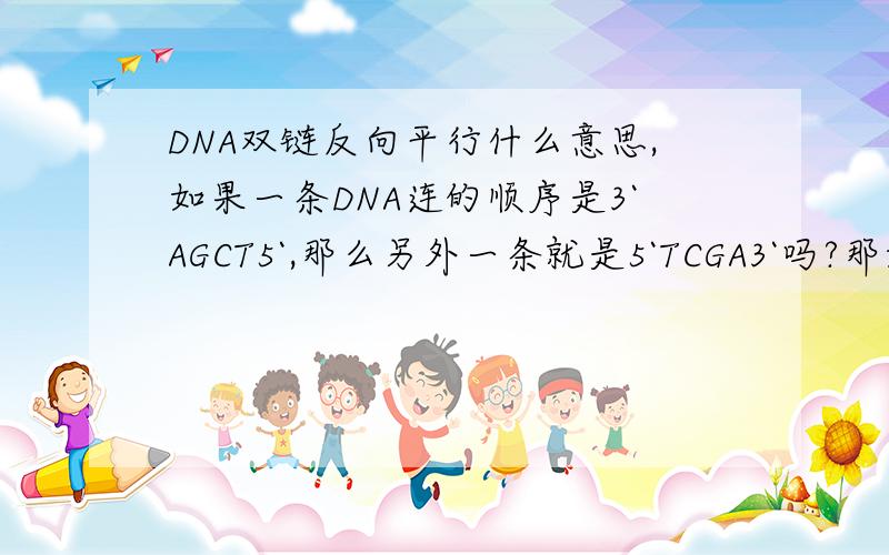 DNA双链反向平行什么意思,如果一条DNA连的顺序是3`AGCT5`,那么另外一条就是5`TCGA3`吗?那如果是这样的话,一条链从一端开始,只要一半的碱基序列知道了,那整个DNA分子就知道了吗?因为另一条链