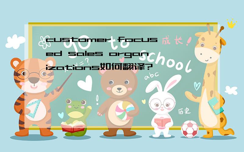 customer focused sales organizations如何翻译?