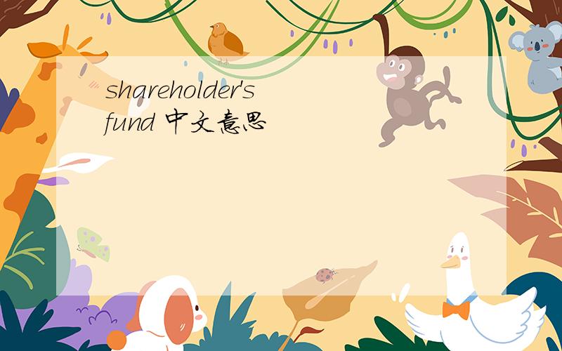 shareholder's fund 中文意思