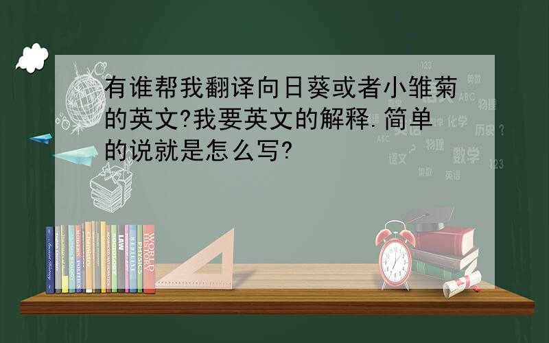 有谁帮我翻译向日葵或者小雏菊的英文?我要英文的解释.简单的说就是怎么写?
