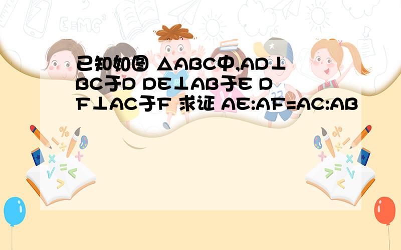 已知如图 △ABC中,AD⊥BC于D DE⊥AB于E DF⊥AC于F 求证 AE:AF=AC:AB
