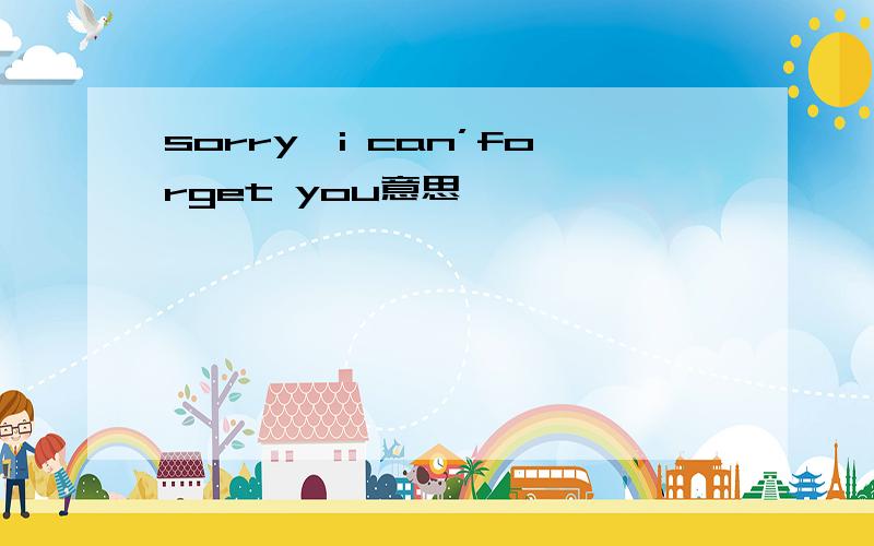sorry,i can’forget you意思