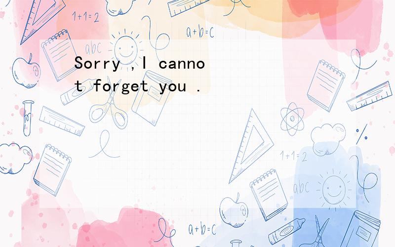 Sorry ,I cannot forget you .