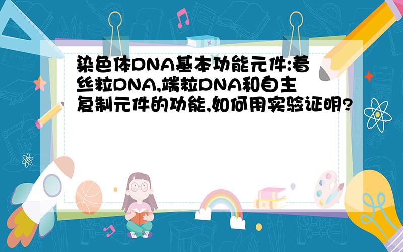 染色体DNA基本功能元件:着丝粒DNA,端粒DNA和自主复制元件的功能,如何用实验证明?