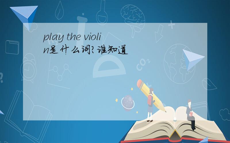 play the violin是什么词?谁知道