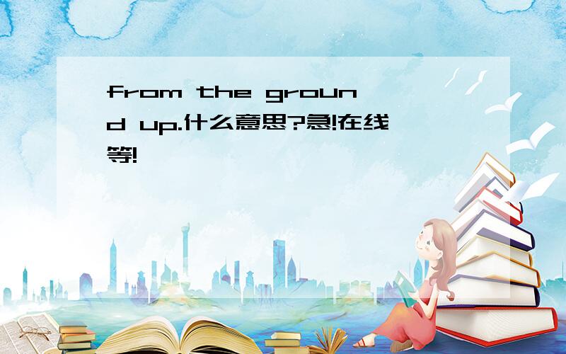 from the ground up.什么意思?急!在线等!