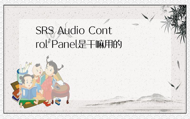 SRS Audio Control Panel是干嘛用的