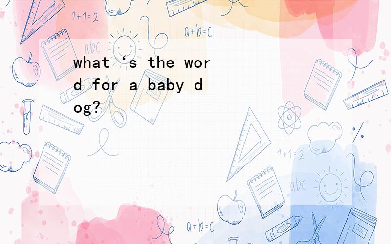 what‘s the word for a baby dog?