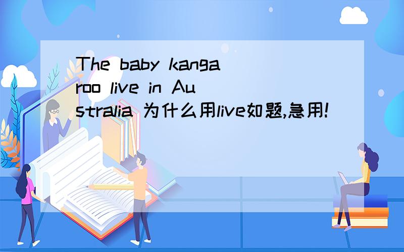 The baby kangaroo live in Australia 为什么用live如题,急用!