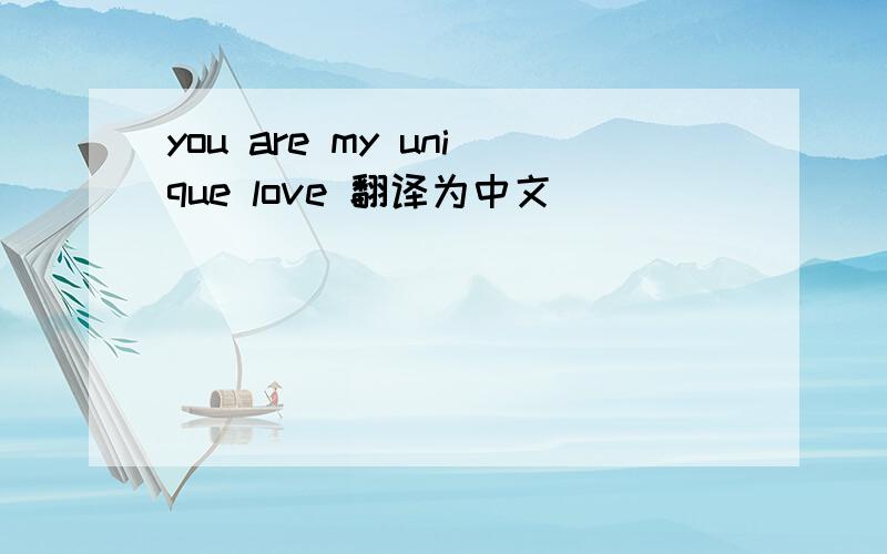 you are my unique love 翻译为中文