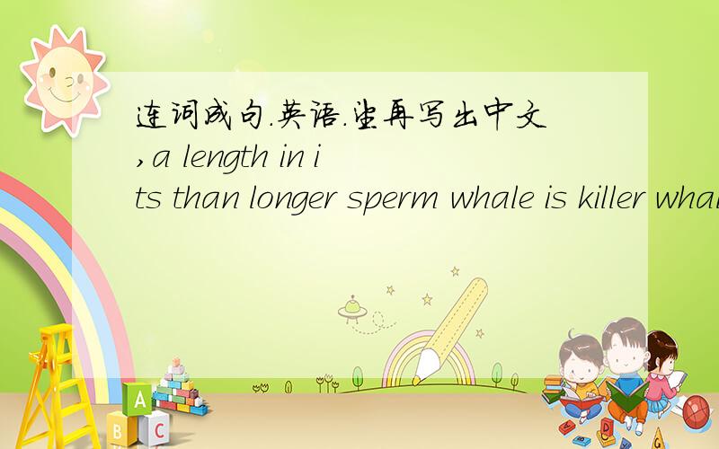 连词成句.英语.望再写出中文,a length in its than longer sperm whale is killer whale a (.)